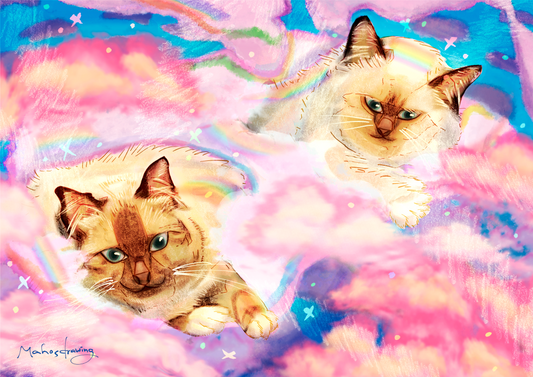 Dreamy Cats on Cloud