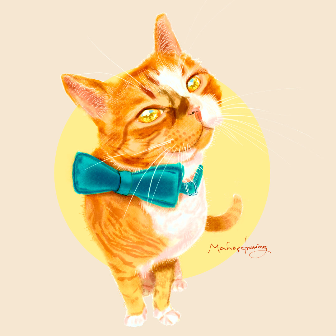 Orange Cat